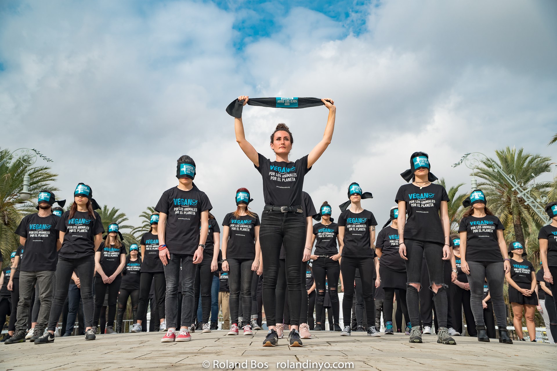 Acción por el día mundial sin carne, Alicante