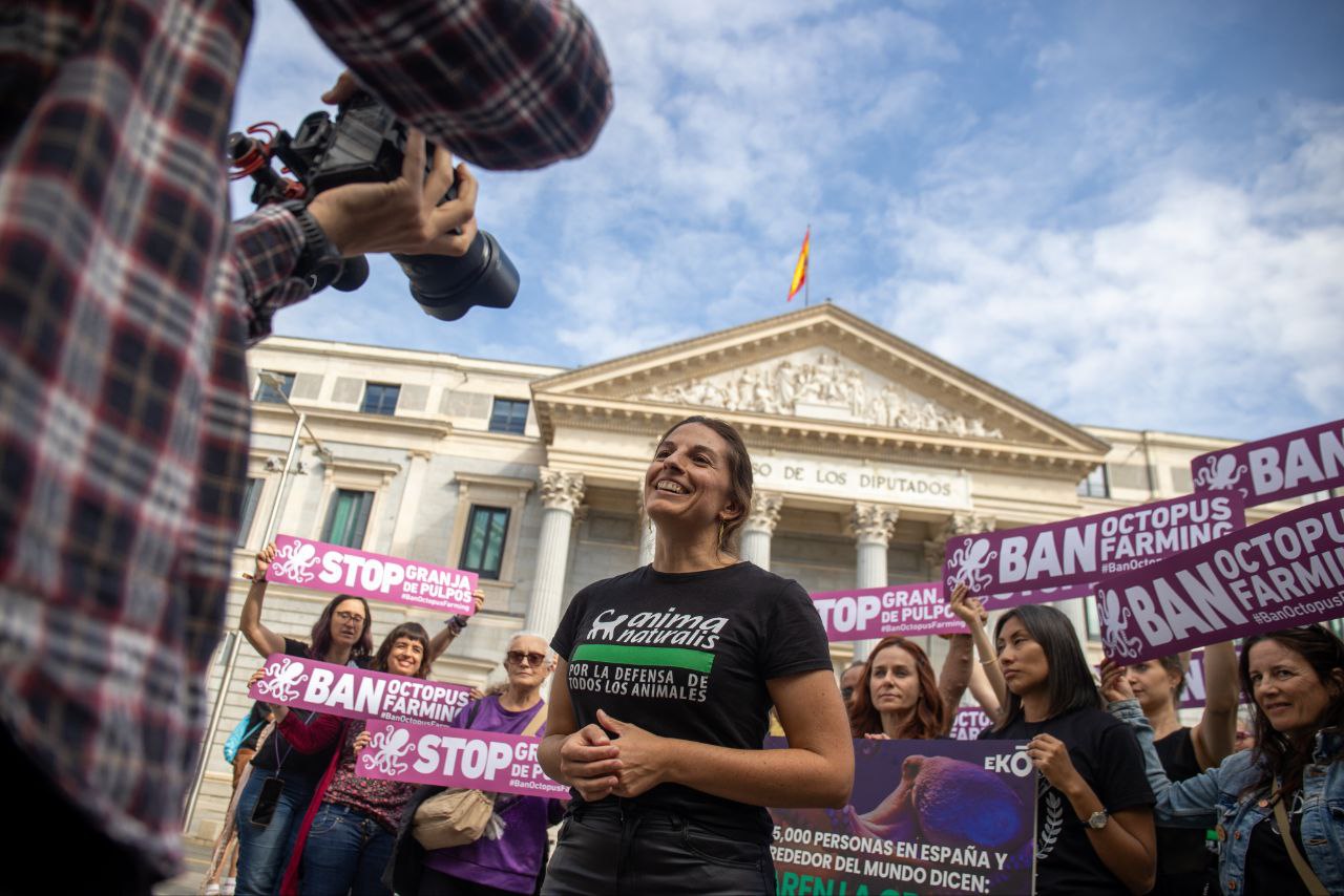 Un centenar de voces se alzan en Madrid contra la primera granja industrial de pulpos del mundo