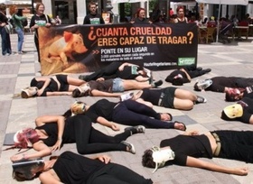 Performance en Palma de Mallorca por una alimentación sin crueldad animal