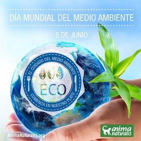 Día Mundial del Medio Ambiente: el cuidado comienza en nuestro plato