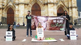 Bogotá conmemoró el Día Mundial del Veganismo