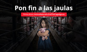 Juntos vamos a poner fin a las jaulas en toda Europa