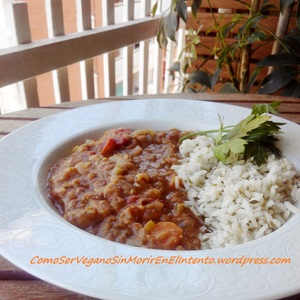 Masoor dal masala con arroz especiado